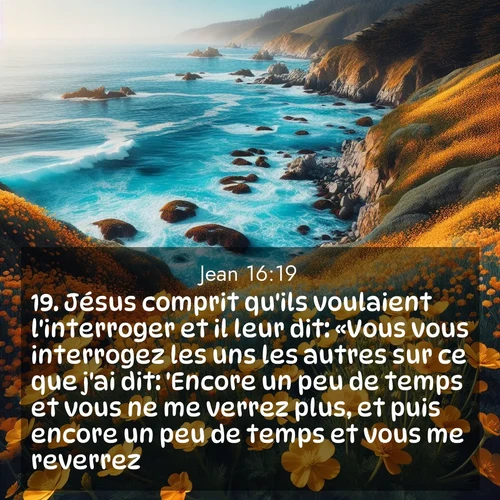 Segond21 Évangile selon Jean  ; image nature: image avec le verset biblique :Jésus comprit qu&#039;ils voulaient l&#039;interroger et il leur dit: «Vous vous interrogez les uns les autres sur ce que j&#039;ai dit: &#039;Encore un peu de temps et vous ne me verrez plus, et puis encore un peu de temps et vous me reverrez.&#039; ;  ; 16:19