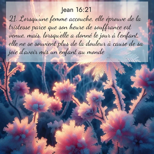Segond21 Évangile selon Jean  ; image nature: image avec le verset biblique :Lorsqu&#039;une femme accouche, elle éprouve de la tristesse parce que son heure de souffrance est venue, mais, lorsqu&#039;elle a donné le jour à l&#039;enfant, elle ne se souvient plus de la douleur à cause de sa joie d&#039;avoir mis un enfant au monde. ;  ; 16:21