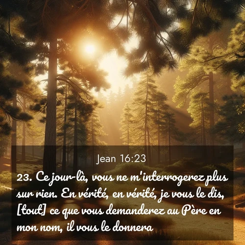 Segond21 Évangile selon Jean  ; image nature: image avec le verset biblique :Ce jour-là, vous ne m&#039;interrogerez plus sur rien. En vérité, en vérité, je vous le dis, [tout] ce que vous demanderez au Père en mon nom, il vous le donnera. ;  ; 16:23