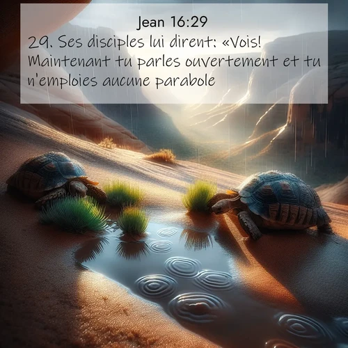 Segond21 Évangile selon Jean  ; image nature: image avec le verset biblique :Ses disciples lui dirent: «Vois! Maintenant tu parles ouvertement et tu n&#039;emploies aucune parabole. ;  ; 16:29