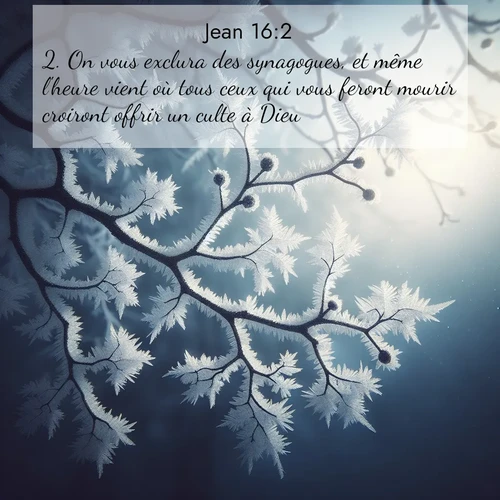 Segond21 Évangile selon Jean  ; image nature: image avec le verset biblique :On vous exclura des synagogues, et même l&#039;heure vient où tous ceux qui vous feront mourir croiront offrir un culte à Dieu. ;  ; 16:2