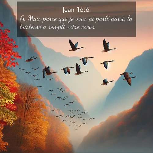Segond21 Évangile selon Jean  ; image nature: image avec le verset biblique :Mais parce que je vous ai parlé ainsi, la tristesse a rempli votre coeur. ;  ; 16:6