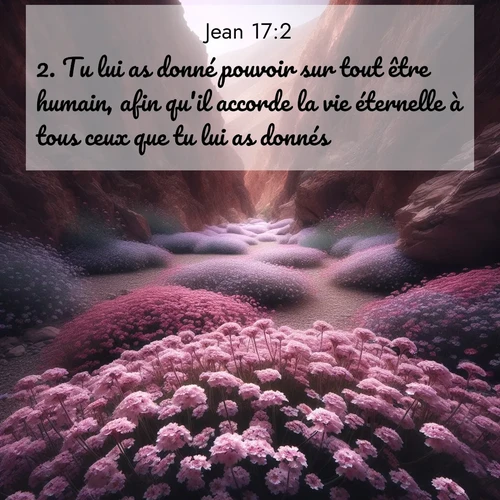 Segond21 43 17:2