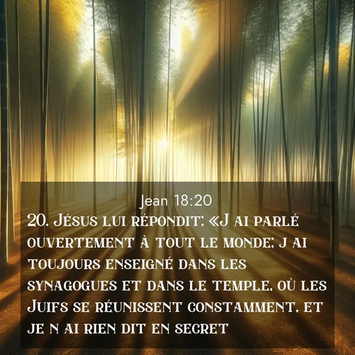Segond21 Évangile selon Jean  ; image nature: image avec le verset biblique :Jésus lui répondit: «J&#039;ai parlé ouvertement à tout le monde; j&#039;ai toujours enseigné dans les synagogues et dans le temple, où les Juifs se réunissent constamment, et je n&#039;ai rien dit en secret. ;  ; 18:20