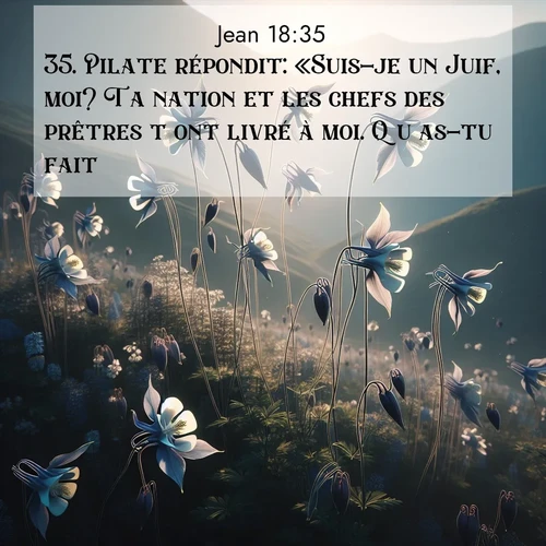 Segond21 Évangile selon Jean  ; image nature: image avec le verset biblique :Pilate répondit: «Suis-je un Juif, moi? Ta nation et les chefs des prêtres t&#039;ont livré à moi. Qu&#039;as-tu fait?» ;  ; 18:35