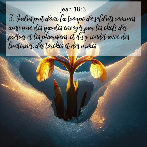Segond21 Évangile selon Jean  ; image nature: image avec le verset biblique :Judas prit donc la troupe de soldats romains ainsi que des gardes envoyés par les chefs des prêtres et les pharisiens, et il s&#039;y rendit avec des lanternes, des torches et des armes. ;  ; 18:3