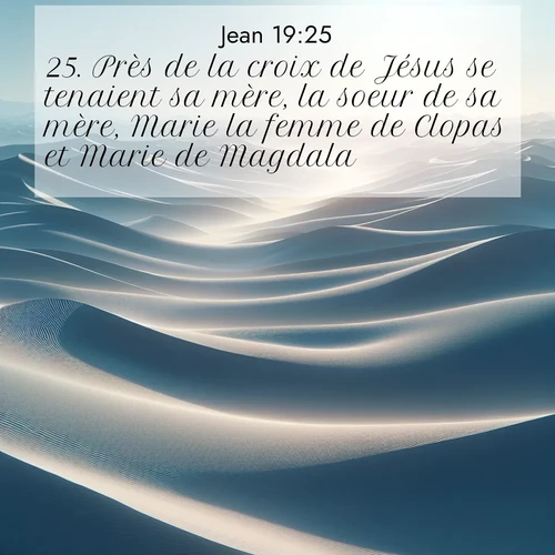 Segond21 Évangile selon Jean  ; image nature: image avec le verset biblique :Près de la croix de Jésus se tenaient sa mère, la soeur de sa mère, Marie la femme de Clopas et Marie de Magdala. ;  ; 19:25