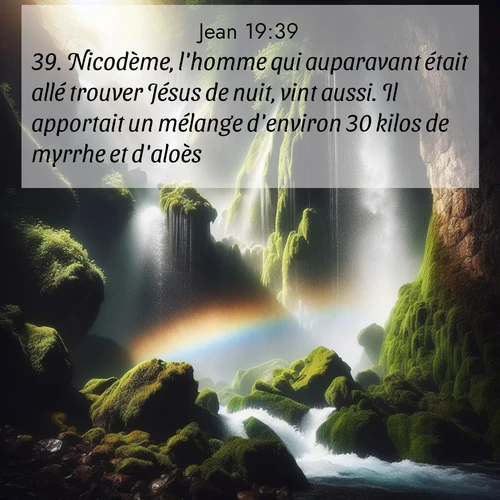 Segond21 Évangile selon Jean  ; image nature: image avec le verset biblique :Nicodème, l&#039;homme qui auparavant était allé trouver Jésus de nuit, vint aussi. Il apportait un mélange d&#039;environ 30 kilos de myrrhe et d&#039;aloès. ;  ; 19:39