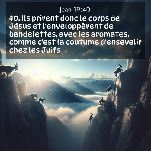 Segond21 Évangile selon Jean  ; image nature: image avec le verset biblique :Ils prirent donc le corps de Jésus et l&#039;enveloppèrent de bandelettes, avec les aromates, comme c&#039;est la coutume d&#039;ensevelir chez les Juifs. ;  ; 19:40