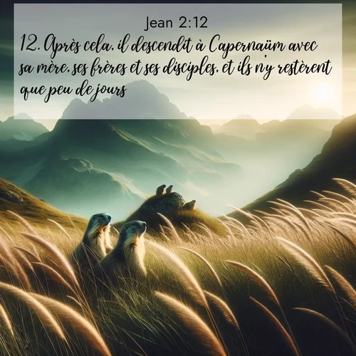 Segond21 Évangile selon Jean  ; image nature: image avec le verset biblique :Après cela, il descendit à Capernaüm avec sa mère, ses frères et ses disciples, et ils n&#039;y restèrent que peu de jours. ;  ; 2:12