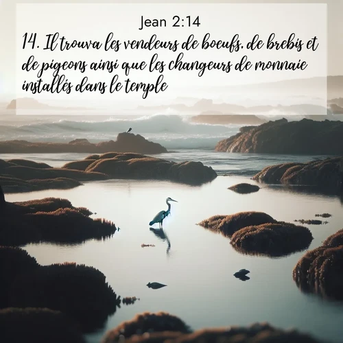 Segond21 Évangile selon Jean  ; image nature: image avec le verset biblique :Il trouva les vendeurs de boeufs, de brebis et de pigeons ainsi que les changeurs de monnaie installés dans le temple. ;  ; 2:14
