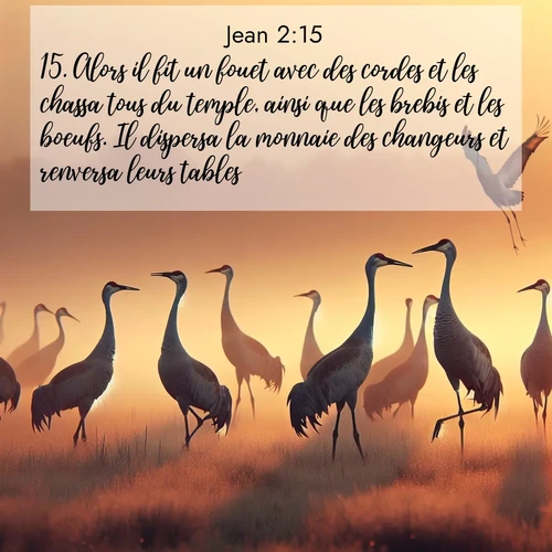 Segond21 Évangile selon Jean  ; image nature: image avec le verset biblique :Alors il fit un fouet avec des cordes et les chassa tous du temple, ainsi que les brebis et les boeufs. Il dispersa la monnaie des changeurs et renversa leurs tables. ;  ; 2:15