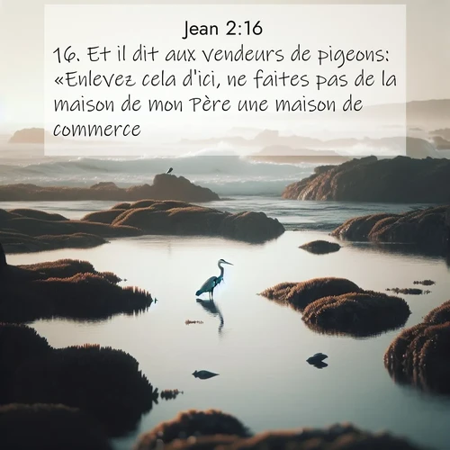 Segond21 Évangile selon Jean  ; image nature: image avec le verset biblique :Et il dit aux vendeurs de pigeons: «Enlevez cela d&#039;ici, ne faites pas de la maison de mon Père une maison de commerce.» ;  ; 2:16