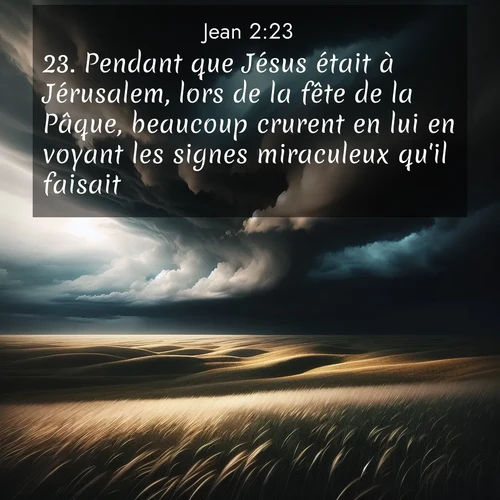 Segond21 Évangile selon Jean  ; image nature: image avec le verset biblique :Pendant que Jésus était à Jérusalem, lors de la fête de la Pâque, beaucoup crurent en lui en voyant les signes miraculeux qu&#039;il faisait. ;  ; 2:23