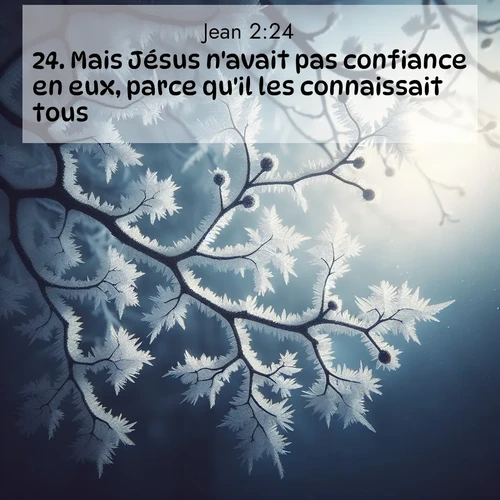 Segond21 Évangile selon Jean  ; image nature: image avec le verset biblique :Mais Jésus n&#039;avait pas confiance en eux, parce qu&#039;il les connaissait tous. ;  ; 2:24