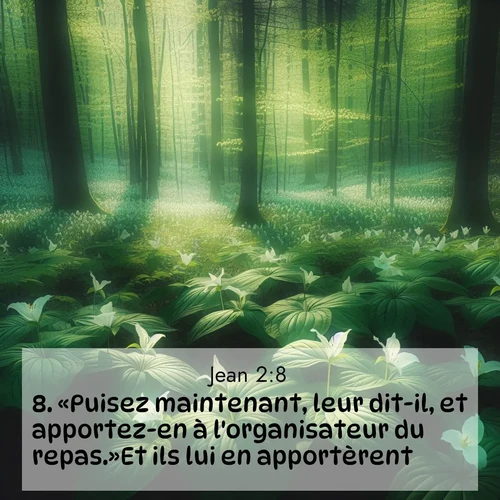 Segond21 Évangile selon Jean  ; image nature: image avec le verset biblique :«Puisez maintenant, leur dit-il, et apportez-en à l&#039;organisateur du repas.»Et ils lui en apportèrent. ;  ; 2:8