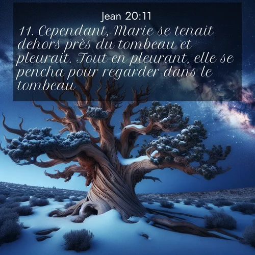 image nature avec verset biblique de la Bible