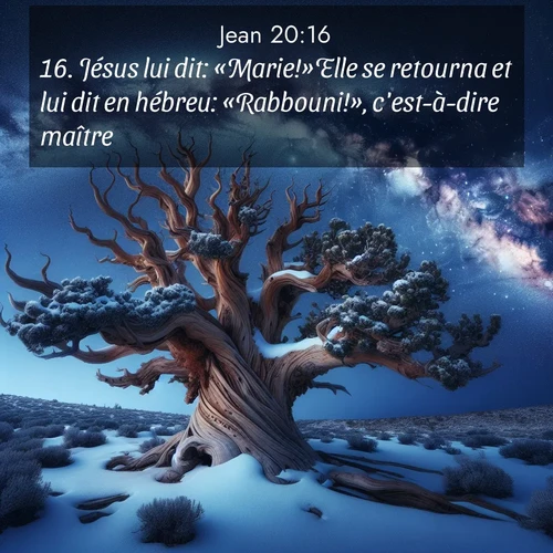 image nature avec verset biblique de la Bible