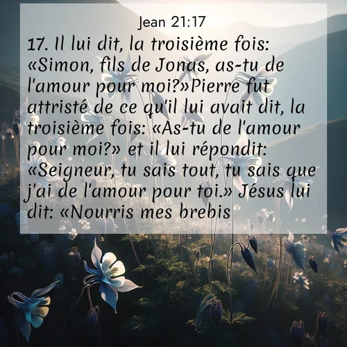 Segond21 Évangile selon Jean  ; image nature: image avec le verset biblique :Il lui dit, la troisième fois: «Simon, fils de Jonas, as-tu de l&#039;amour pour moi?»Pierre fut attristé de ce qu&#039;il lui avait dit, la troisième fois: «As-tu de l&#039;amour pour moi?» et il lui répondit: «Seigneur, tu sais tout, tu sais que j&#039;ai de l&#039;amour pour toi.» Jésus lui dit: «Nourris mes brebis. ;  ; 21:17
