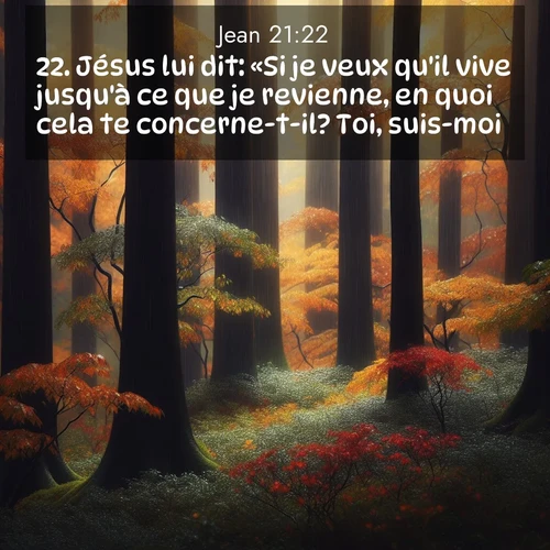 Segond21 Évangile selon Jean  ; image nature: image avec le verset biblique :Jésus lui dit: «Si je veux qu&#039;il vive jusqu&#039;à ce que je revienne, en quoi cela te concerne-t-il? Toi, suis-moi.» ;  ; 21:22