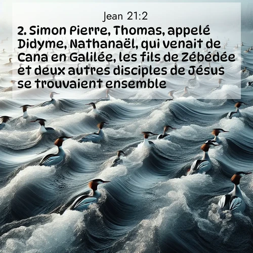 Segond21 Évangile selon Jean  ; image nature: image avec le verset biblique :Simon Pierre, Thomas, appelé Didyme, Nathanaël, qui venait de Cana en Galilée, les fils de Zébédée et deux autres disciples de Jésus se trouvaient ensemble. ;  ; 21:2