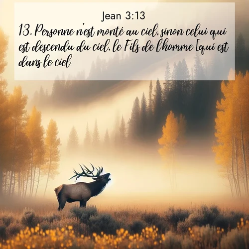 Segond21 Évangile selon Jean  ; image nature: image avec le verset biblique :Personne n&#039;est monté au ciel, sinon celui qui est descendu du ciel, le Fils de l&#039;homme [qui est dans le ciel]. ;  ; 3:13