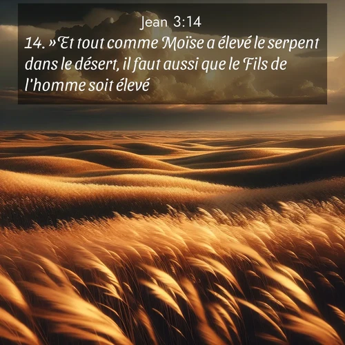 Segond21 Évangile selon Jean  ; image nature: image avec le verset biblique :»Et tout comme Moïse a élevé le serpent dans le désert, il faut aussi que le Fils de l&#039;homme soit élevé ;  ; 3:14