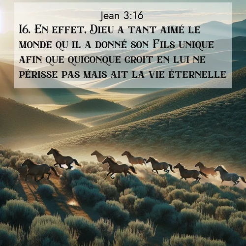 Segond21 Évangile selon Jean  ; image nature: image avec le verset biblique :En effet, Dieu a tant aimé le monde qu&#039;il a donné son Fils unique afin que quiconque croit en lui ne périsse pas mais ait la vie éternelle. ;  ; 3:16
