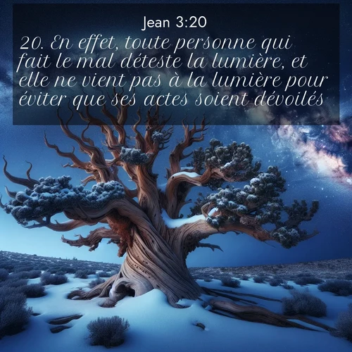 Segond21 Évangile selon Jean  ; image nature: image avec le verset biblique :En effet, toute personne qui fait le mal déteste la lumière, et elle ne vient pas à la lumière pour éviter que ses actes soient dévoilés. ;  ; 3:20