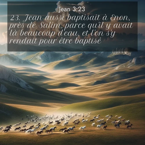 Segond21 Évangile selon Jean  ; image nature: image avec le verset biblique :Jean aussi baptisait à Enon, près de Salim, parce qu&#039;il y avait là beaucoup d&#039;eau, et l&#039;on s&#039;y rendait pour être baptisé. ;  ; 3:23