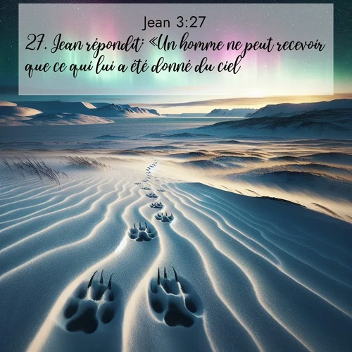 Segond21 Évangile selon Jean  ; image nature: image avec le verset biblique :Jean répondit: «Un homme ne peut recevoir que ce qui lui a été donné du ciel. ;  ; 3:27