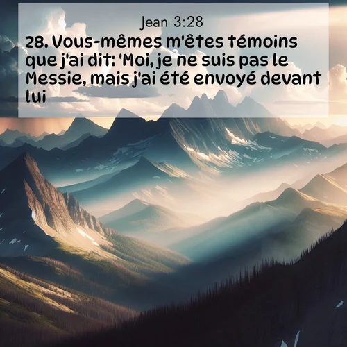 Segond21 Évangile selon Jean  ; image nature: image avec le verset biblique :Vous-mêmes m&#039;êtes témoins que j&#039;ai dit: &#039;Moi, je ne suis pas le Messie, mais j&#039;ai été envoyé devant lui.&#039; ;  ; 3:28