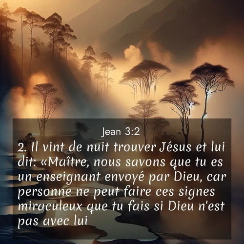 Segond21 Évangile selon Jean  ; image nature: image avec le verset biblique :Il vint de nuit trouver Jésus et lui dit: «Maître, nous savons que tu es un enseignant envoyé par Dieu, car personne ne peut faire ces signes miraculeux que tu fais si Dieu n&#039;est pas avec lui.» ;  ; 3:2