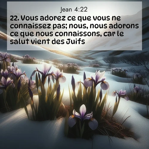 Segond21 Évangile selon Jean  ; image nature: image avec le verset biblique :Vous adorez ce que vous ne connaissez pas; nous, nous adorons ce que nous connaissons, car le salut vient des Juifs. ;  ; 4:22