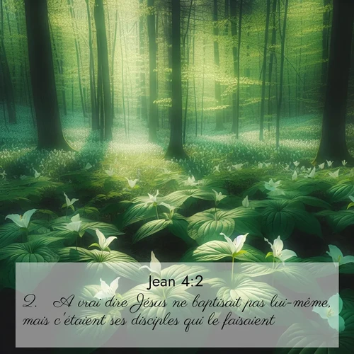 Segond21 Évangile selon Jean  ; image nature: image avec le verset biblique : A vrai dire Jésus ne baptisait pas lui-même, mais c&#039;étaient ses disciples qui le faisaient.  ;  ; 4:2