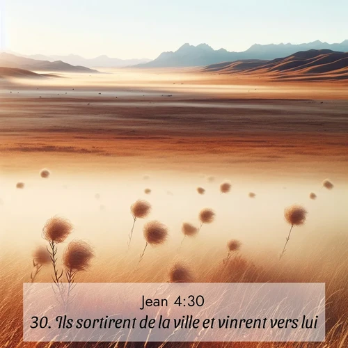 Segond21 Évangile selon Jean  ; image nature: image avec le verset biblique :Ils sortirent de la ville et vinrent vers lui. ;  ; 4:30