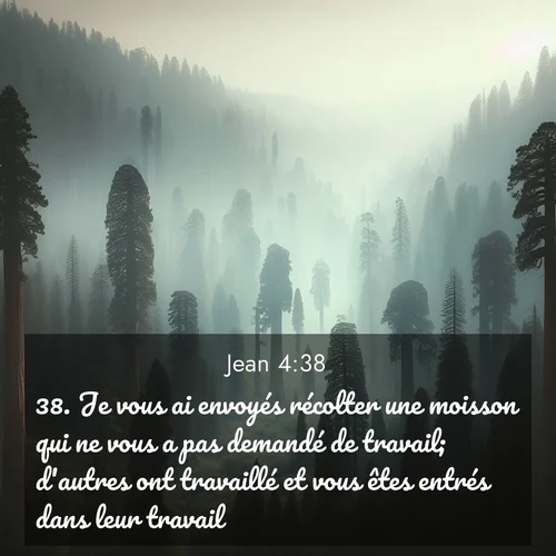 Segond21 Évangile selon Jean  ; image nature: image avec le verset biblique :Je vous ai envoyés récolter une moisson qui ne vous a pas demandé de travail; d&#039;autres ont travaillé et vous êtes entrés dans leur travail.» ;  ; 4:38