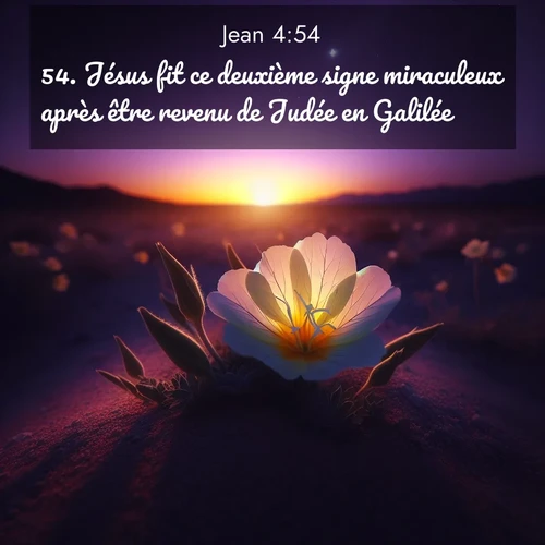 Segond21 Évangile selon Jean  ; image nature: image avec le verset biblique :Jésus fit ce deuxième signe miraculeux après être revenu de Judée en Galilée. ;  ; 4:54