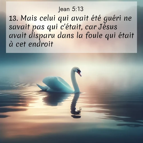 Segond21 Évangile selon Jean  ; image nature: image avec le verset biblique :Mais celui qui avait été guéri ne savait pas qui c&#039;était, car Jésus avait disparu dans la foule qui était à cet endroit. ;  ; 5:13