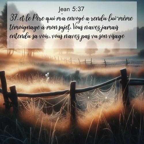 Segond21 Évangile selon Jean  ; image nature: image avec le verset biblique :et le Père qui m&#039;a envoyé a rendu lui-même témoignage à mon sujet. Vous n&#039;avez jamais entendu sa voix, vous n&#039;avez pas vu son visage ;  ; 5:37