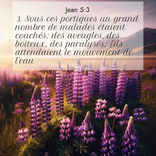 Segond21 Évangile selon Jean  ; image nature: image avec le verset biblique :Sous ces portiques un grand nombre de malades étaient couchés: des aveugles, des boiteux, des paralysés; [ils attendaient le mouvement de l&#039;eau,] ;  ; 5:3