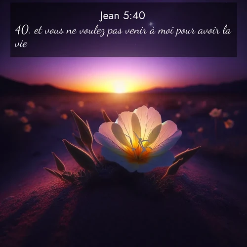 Segond21 Évangile selon Jean  ; image nature: image avec le verset biblique :et vous ne voulez pas venir à moi pour avoir la vie! ;  ; 5:40