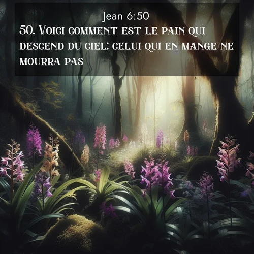 image nature avec verset biblique de la Bible