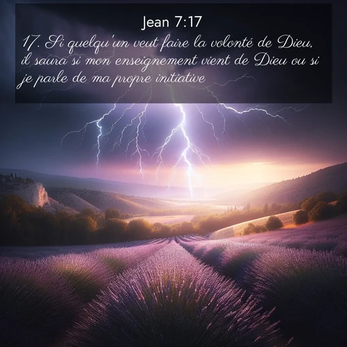 Segond21 Évangile selon Jean  ; image nature: image avec le verset biblique :Si quelqu&#039;un veut faire la volonté de Dieu, il saura si mon enseignement vient de Dieu ou si je parle de ma propre initiative. ;  ; 7:17