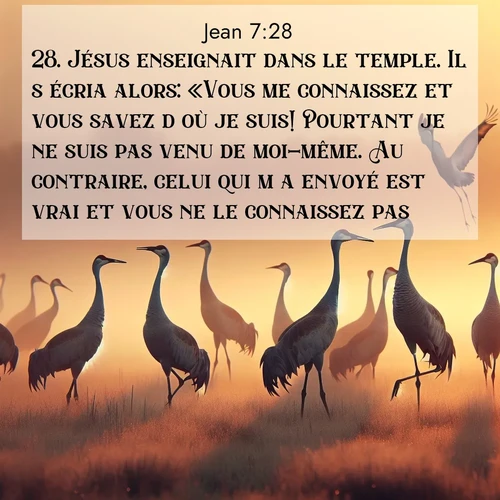 image nature avec verset biblique de la Bible