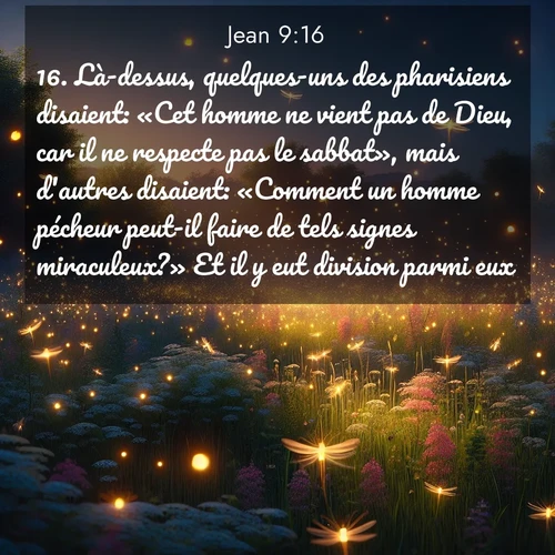 Segond21 Évangile selon Jean  ; image nature: image avec le verset biblique :Là-dessus, quelques-uns des pharisiens disaient: «Cet homme ne vient pas de Dieu, car il ne respecte pas le sabbat», mais d&#039;autres disaient: «Comment un homme pécheur peut-il faire de tels signes miraculeux?» Et il y eut division parmi eux. ;  ; 9:16