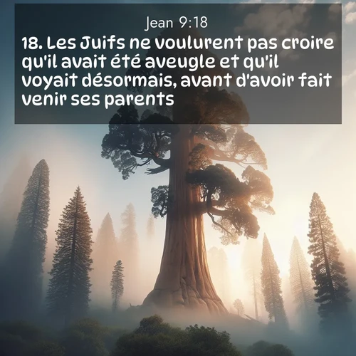 Segond21 Évangile selon Jean  ; image nature: image avec le verset biblique :Les Juifs ne voulurent pas croire qu&#039;il avait été aveugle et qu&#039;il voyait désormais, avant d&#039;avoir fait venir ses parents. ;  ; 9:18
