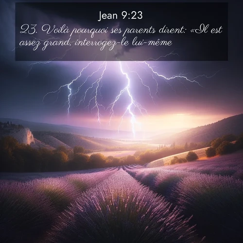Segond21 Évangile selon Jean  ; image nature: image avec le verset biblique :Voilà pourquoi ses parents dirent: «Il est assez grand, interrogez-le lui-même.» ;  ; 9:23