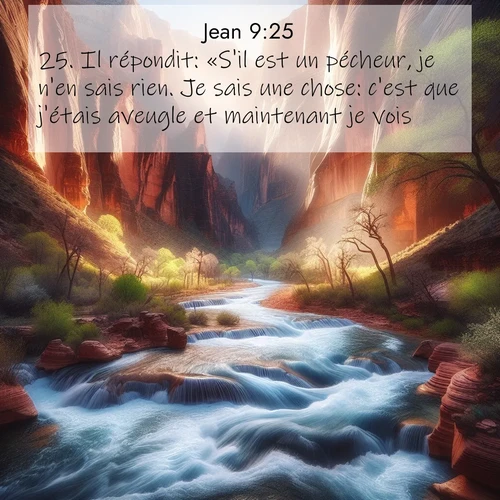 Segond21 Évangile selon Jean  ; image nature: image avec le verset biblique :Il répondit: «S&#039;il est un pécheur, je n&#039;en sais rien. Je sais une chose: c&#039;est que j&#039;étais aveugle et maintenant je vois.» ;  ; 9:25
