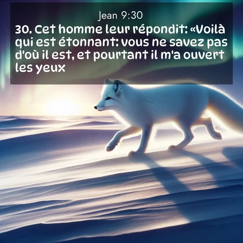 Segond21 Évangile selon Jean  ; image nature: image avec le verset biblique :Cet homme leur répondit: «Voilà qui est étonnant: vous ne savez pas d&#039;où il est, et pourtant il m&#039;a ouvert les yeux! ;  ; 9:30